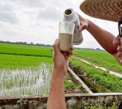 Validamycin एक 20% एसपी चावल ब्लास्ट नियंत्रण कृषि कवकनाशी