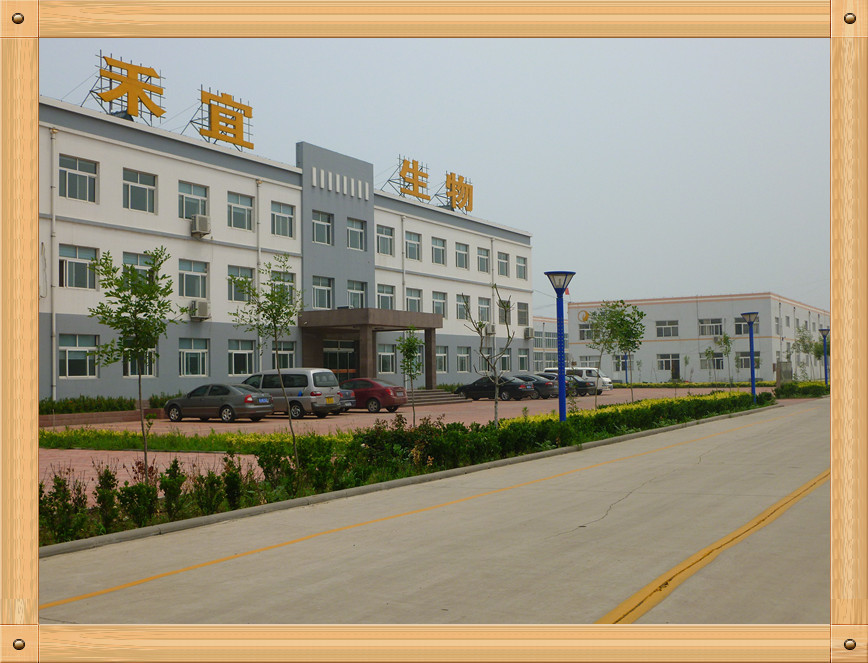 चीन Weifang Heyi Agrochemical Co.,Ltd कंपनी प्रोफाइल